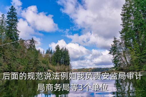 后面的規范說法例如我負責安監局審計局商務局等3個單位