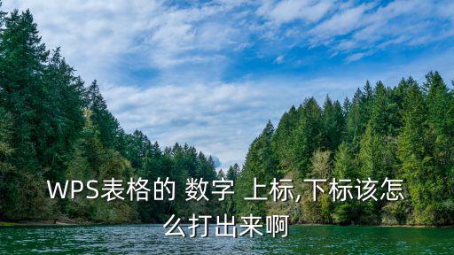 數字上標怎么打,數字快捷鍵:選擇的數字變成下標格式