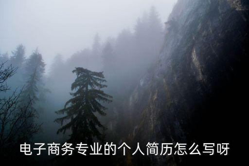 電子商務專業的個人簡歷怎么寫呀