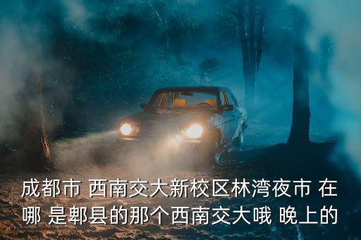 成都市 西南交大新校區林灣夜市 在哪 是郫縣的那個西南交大哦 晚上的