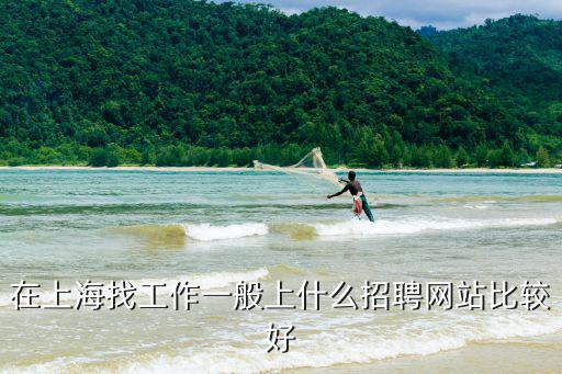 在上海找工作一般上什么招聘網(wǎng)站比較好