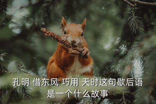 誰借東風巧用天時,劉備借東風三天三夜火破曹軍