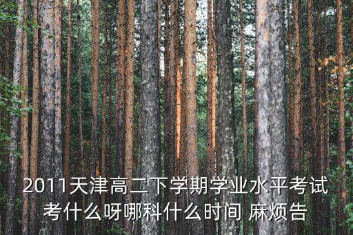 2011天津高二下學期學業水平考試考什么呀哪科什么時間 麻煩告