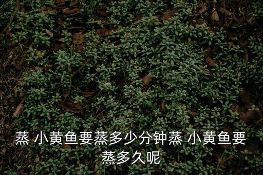 蒸 小黃魚要蒸多少分鐘蒸 小黃魚要蒸多久呢
