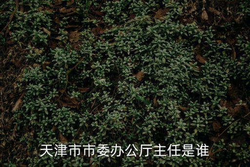 天津市市委辦公廳主任是誰