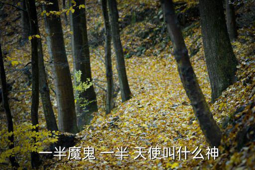  一半魔鬼 一半 天使叫什么神