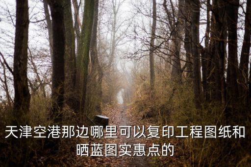 天津空港那邊哪里可以復印工程圖紙和曬藍圖實惠點的