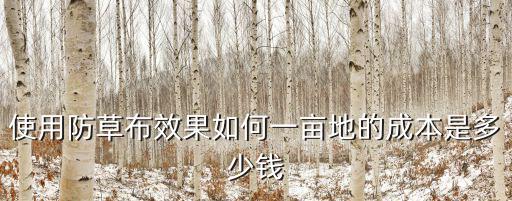 使用防草布效果如何一畝地的成本是多少錢