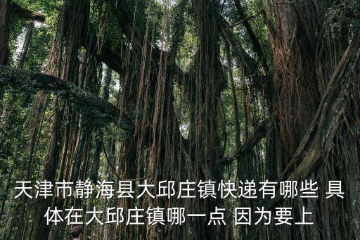天津市靜?？h大邱莊鎮(zhèn)快遞有哪些 具體在大邱莊鎮(zhèn)哪一點 因為要上