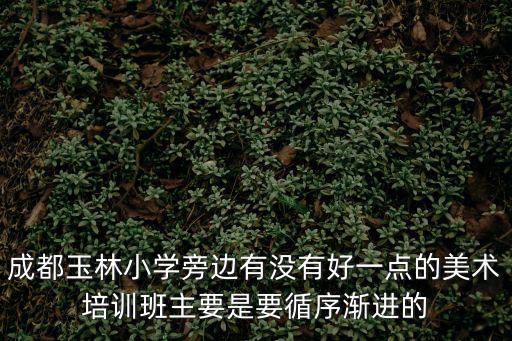 成都市玉林小學的老師，我是教育機構的老師想去成都玉林小學和芳草小學做調查求它