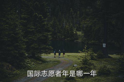 國際志愿者年，17國際志愿者年和志愿者日分別是多少所具備得行為能力 18