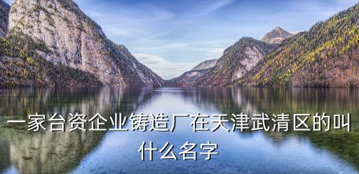 一家臺資企業鑄造廠在天津武清區的叫什么名字