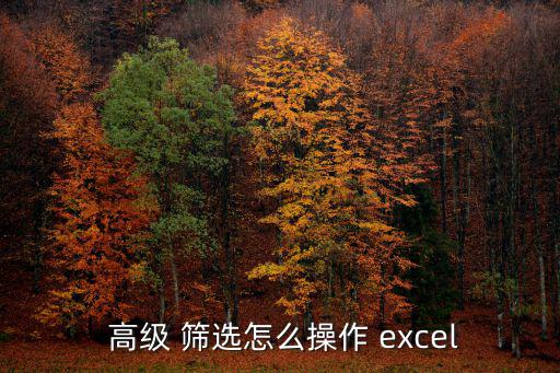  高級(jí) 篩選怎么操作 excel