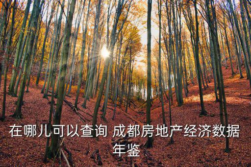 在哪兒可以查詢 成都房地產經濟數據 年鑒
