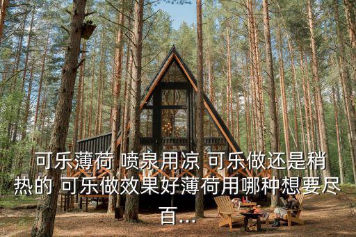  可樂薄荷 噴泉用涼 可樂做還是稍熱的 可樂做效果好薄荷用哪種想要盡百...