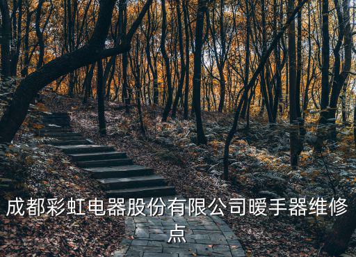 成都彩虹電器股份有限公司曖手器維修點