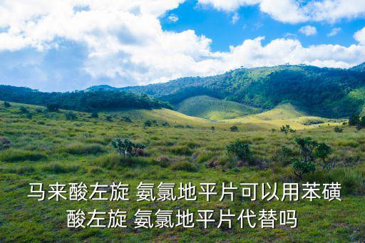  馬來酸左旋 氨氯地平片可以用苯磺酸左旋 氨氯地平片代替嗎