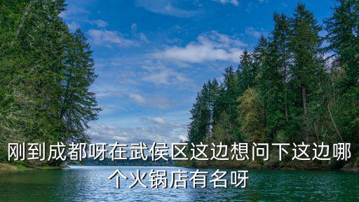 剛到成都呀在武侯區(qū)這邊想問下這邊哪個(gè)火鍋店有名呀