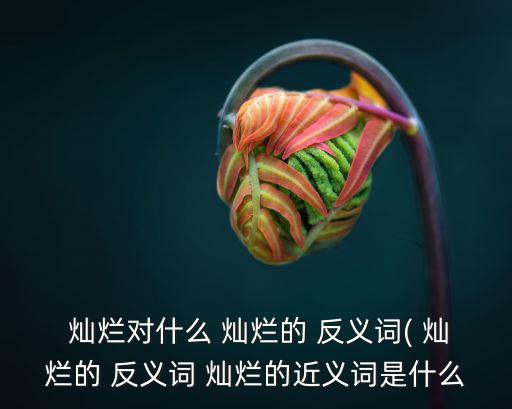  燦爛對什么 燦爛的 反義詞( 燦爛的 反義詞 燦爛的近義詞是什么
