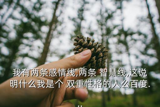 我有兩條感情線,兩條 智慧線,這說明什么我是個 雙重性格的人么百度...