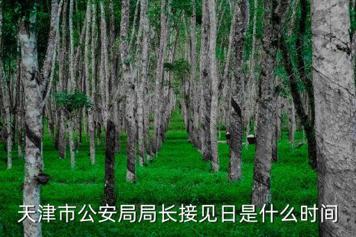 天津市公安局局長接見日是什么時間