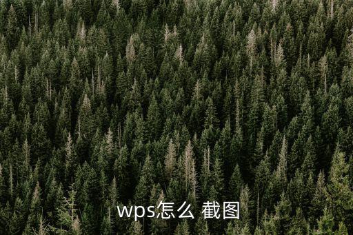  wps怎么 截圖