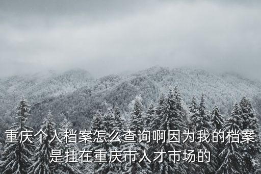 重慶個人檔案怎么查詢啊因為我的檔案是掛在重慶市人才市場的