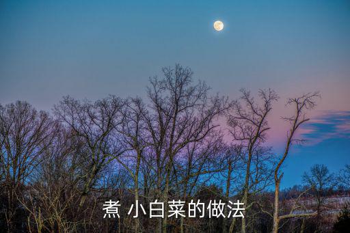 煮 小白菜的做法
