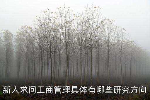 工商管理研究，新人求問工商管理具體有哪些研究方向