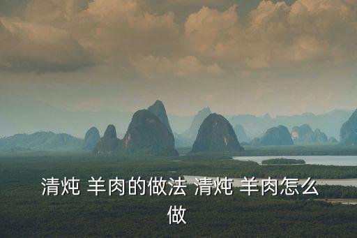  清燉 羊肉的做法 清燉 羊肉怎么做