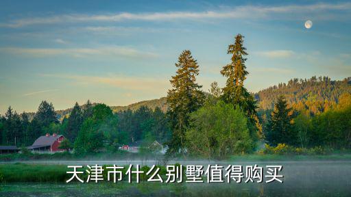 天津市洛卡小鎮別墅，天津市購買別墅限購嗎