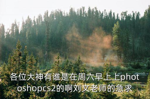 各位大神有誰是在周六早上上photoshopcs2的啊劉文老師的急求
