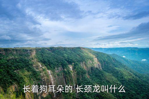 長著狗耳朵的 長頸龍叫什么