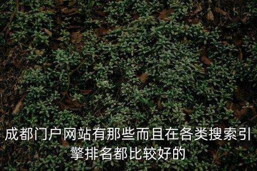 成都門戶網站有那些而且在各類搜索引擎排名都比較好的