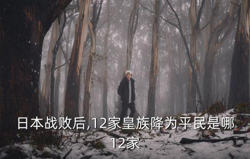 高松宮,二戰(zhàn)廢皇室三座宮殿僅三座存在