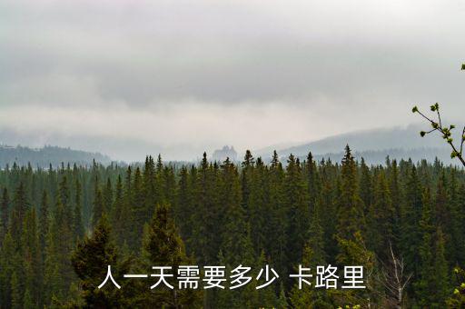 卡路里對照表,堅毅向前預(yù)算案