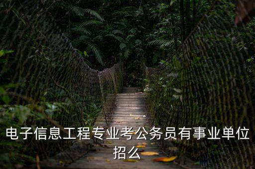 電子信息工程專業考公務員有事業單位招么