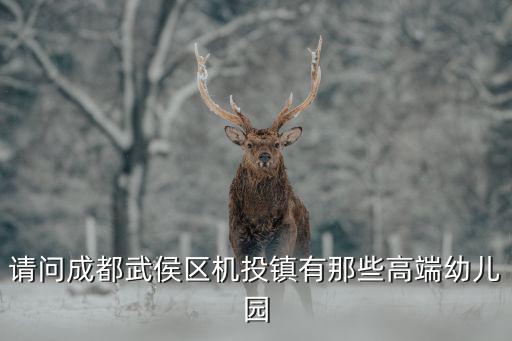 成都市武侯區(qū)迪賽爾博幼兒園，各位網(wǎng)友成都武侯這邊有沒的好點(diǎn)的早教中心