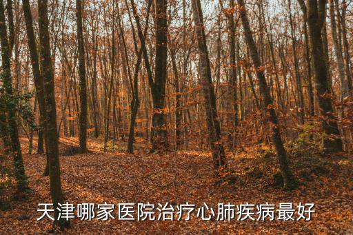 天津市心臟醫院，天津檢查心臟那家醫院好