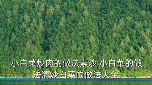  小白菜炒肉的做法素炒 小白菜的做法清炒白菜的做法大全