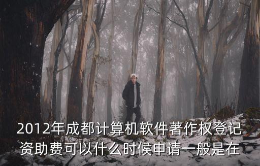 2012年成都計算機軟件著作權登記資助費可以什么時候申請一般是在
