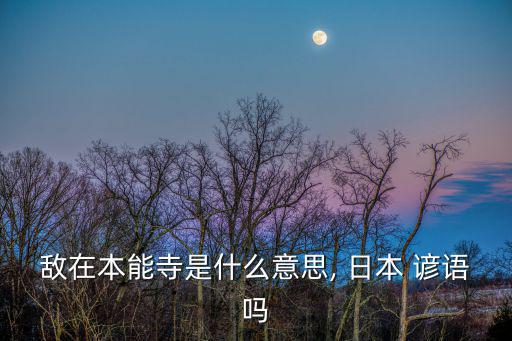 敵在本能寺是什么意思, 日本 諺語(yǔ)嗎