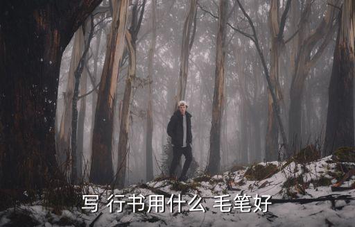 毛筆行書,毛筆知名品牌葉根友毛筆簡體字2