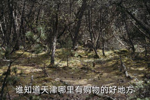 誰知道天津哪里有購物的好地方