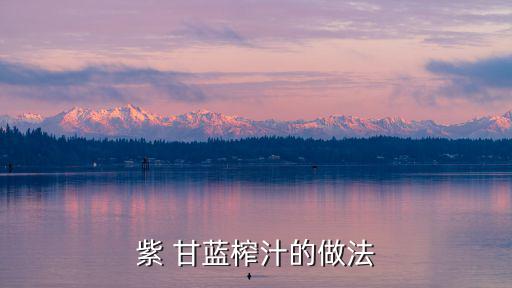 甘藍汁,自動榨汁機榨果汁!紫甘藍核桃汁每天一杯