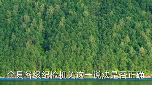 全縣各級紀檢機關這一說法是否正確