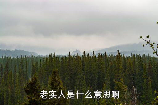 老實(shí)人是什么意思,打老實(shí)人是不對(duì)的,實(shí)際工作還是要靠實(shí)人
