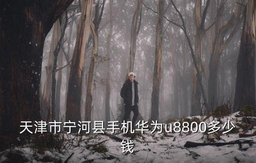 天津市寧河縣手機(jī)華為u8800多少錢(qián)