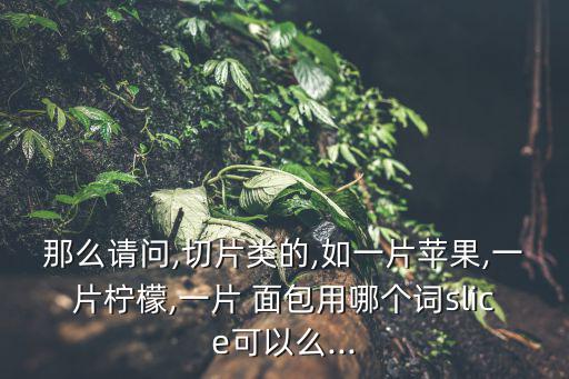 那么請問,切片類的,如一片蘋果,一片檸檬,一片 面包用哪個詞slice可以么...