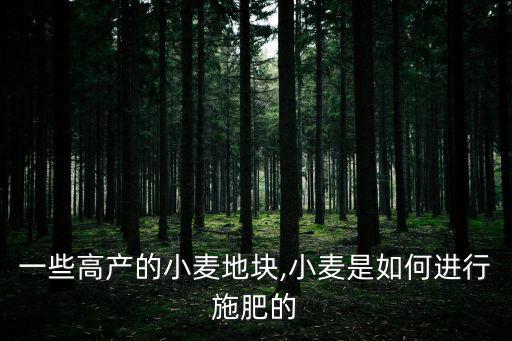 一些高產的小麥地塊,小麥是如何進行施肥的